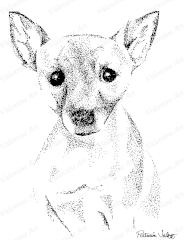 Pup